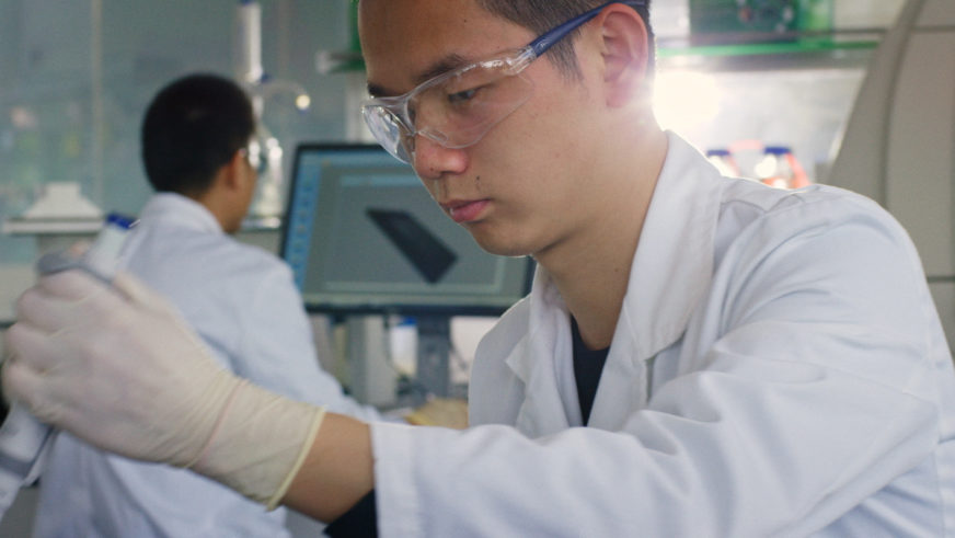 Amway Botanical Research Center Gorilla